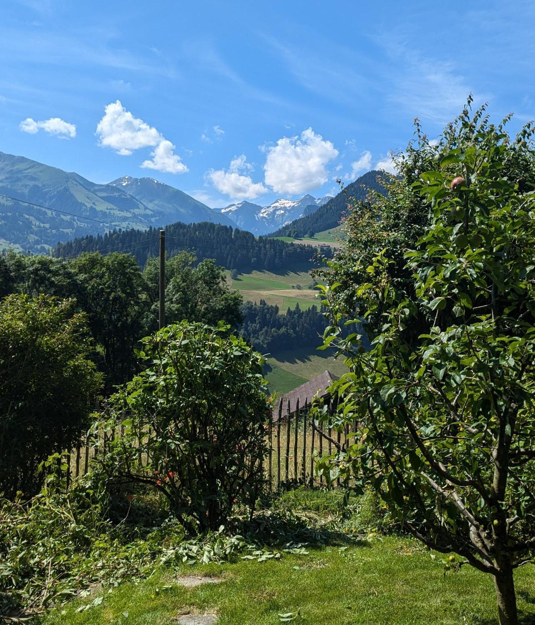 Swiss Mountain-Valley View Lodge Erlenbach im Simmental Luaran gambar