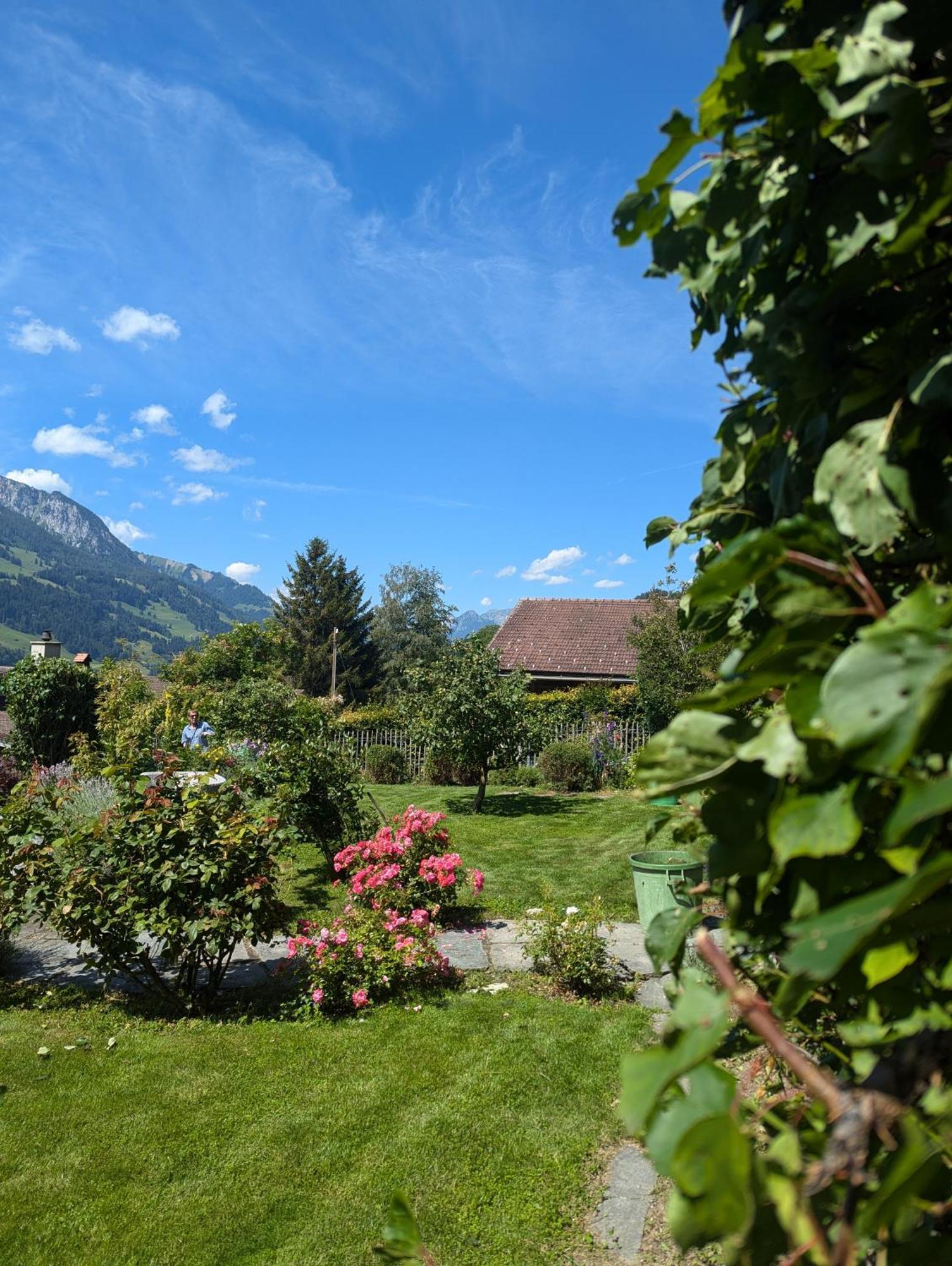Swiss Mountain-Valley View Lodge Erlenbach im Simmental Luaran gambar