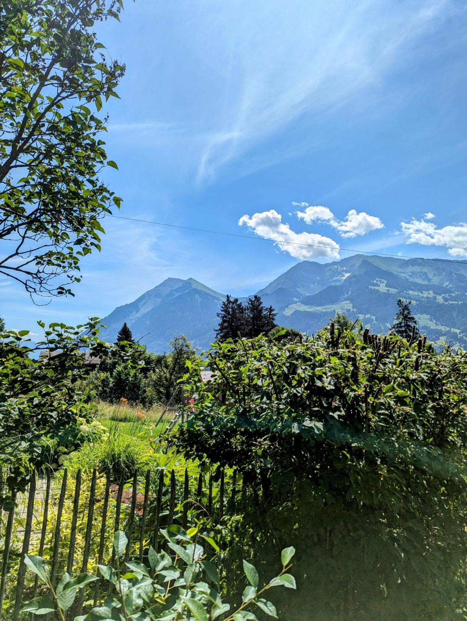 Swiss Mountain-Valley View Lodge Erlenbach im Simmental Luaran gambar