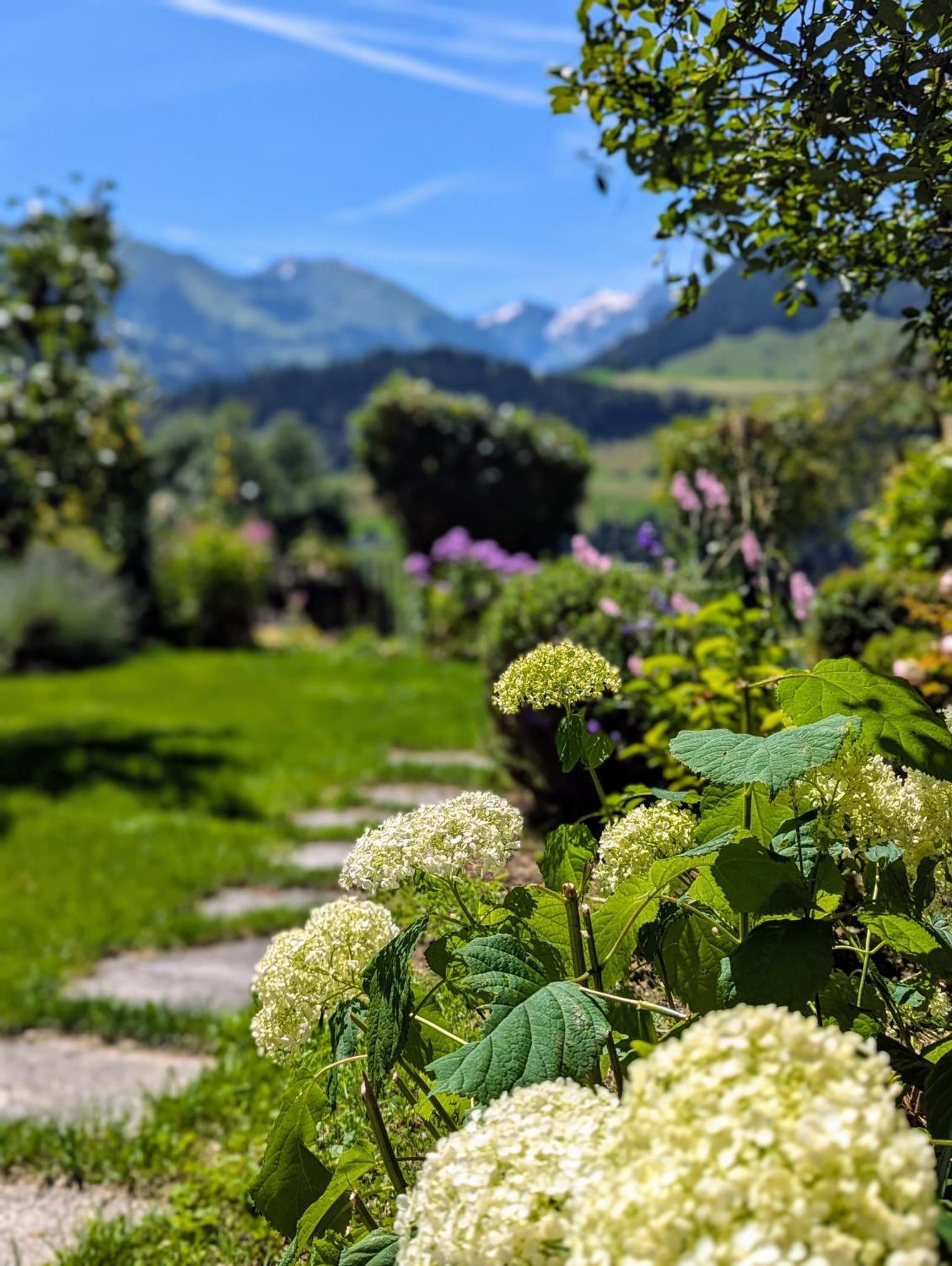 Swiss Mountain-Valley View Lodge Erlenbach im Simmental Luaran gambar