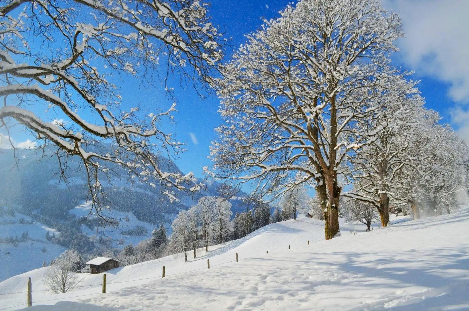 Swiss Mountain-Valley View Lodge Erlenbach im Simmental Luaran gambar