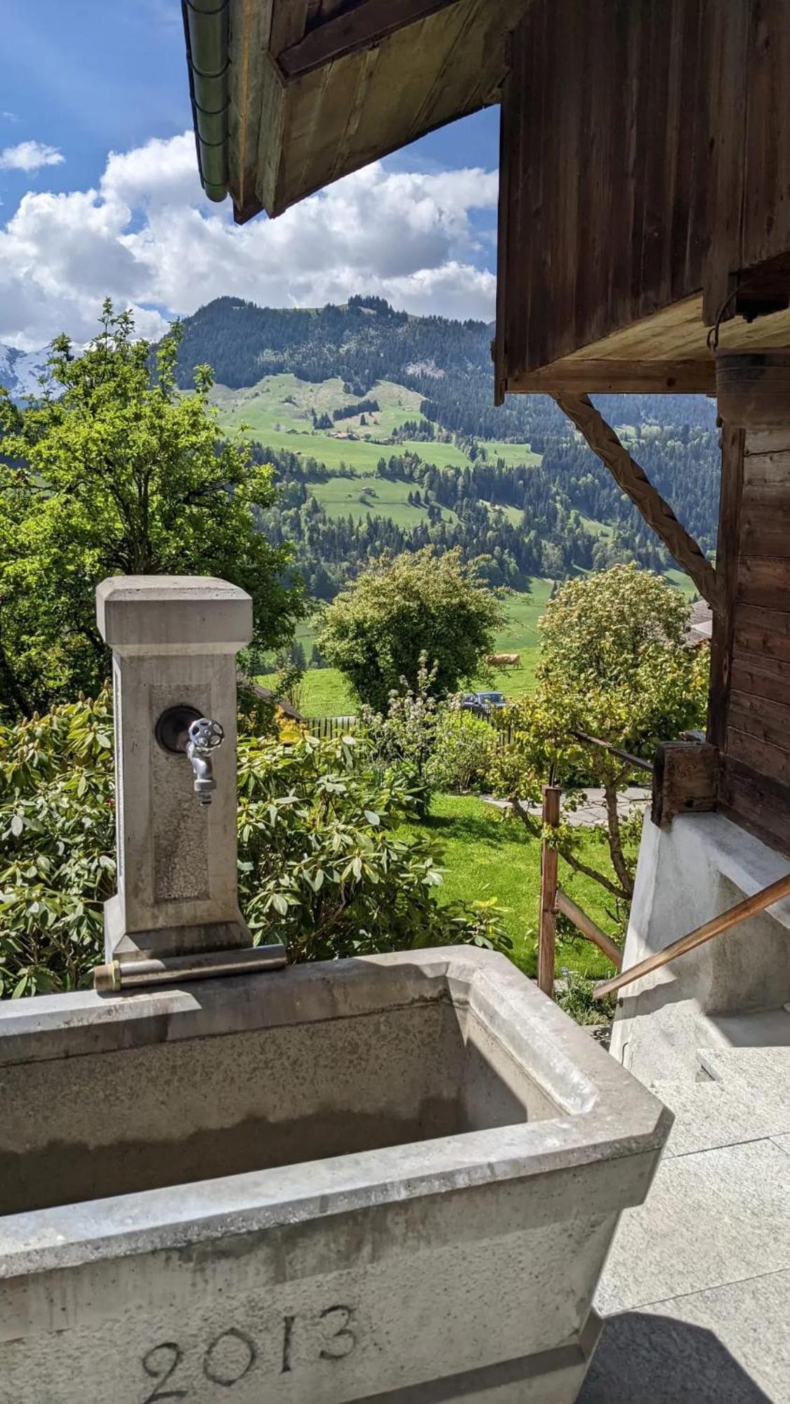 Swiss Mountain-Valley View Lodge Erlenbach im Simmental Luaran gambar