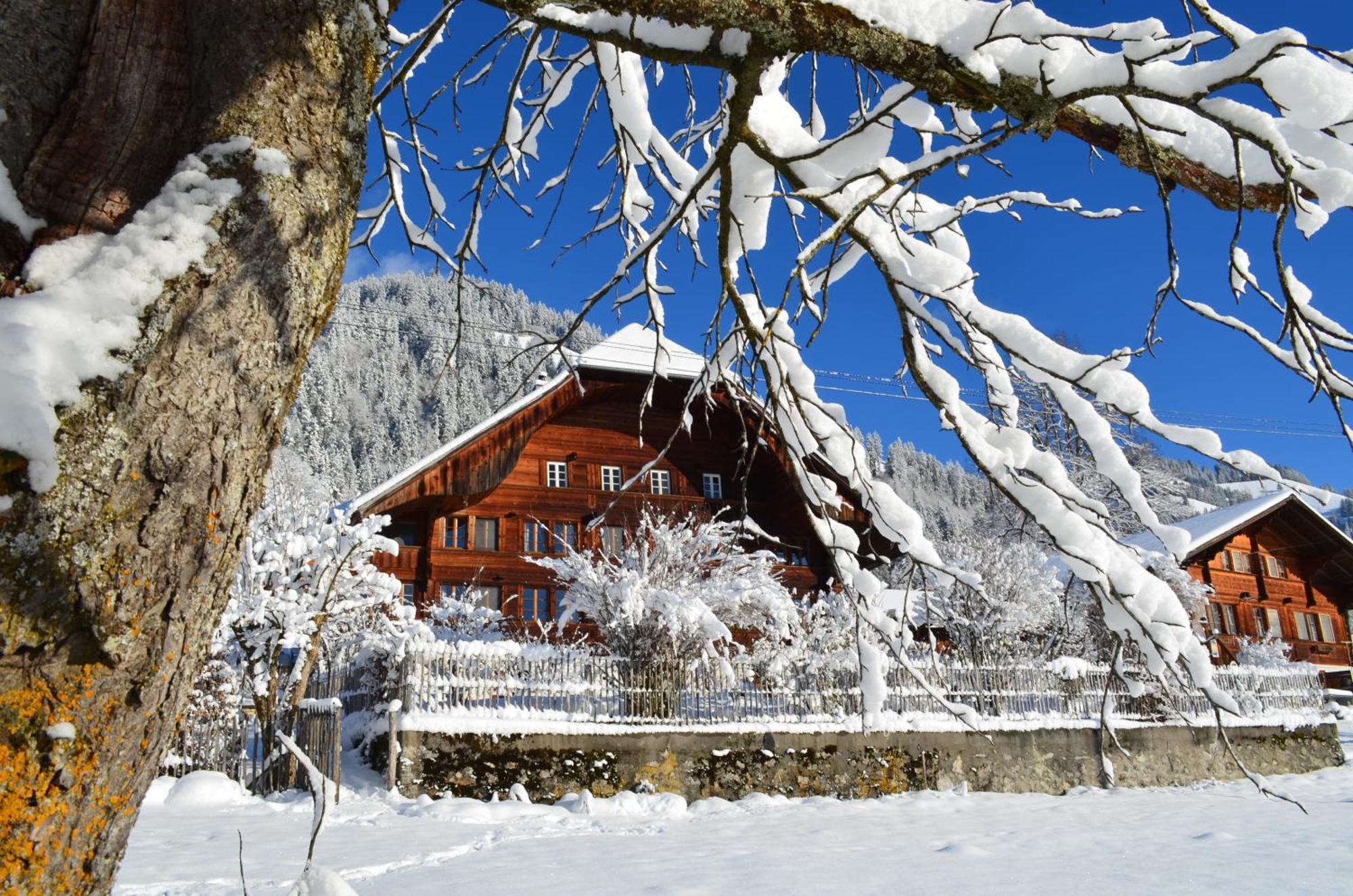 Swiss Mountain-Valley View Lodge Erlenbach im Simmental Luaran gambar